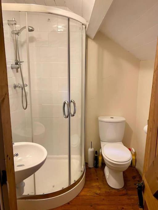 Snowdrop Stone Detached Cottage Talysarn Extérieur photo
